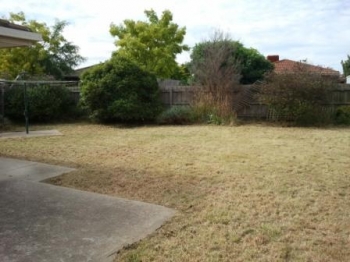 House Playground After