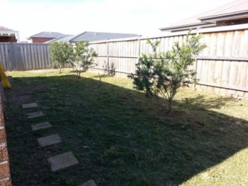 House Backyard After