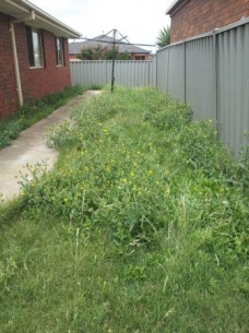 House Backyard Before