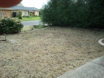 House Front Yard After