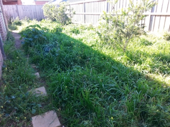 Side pathway mowing before